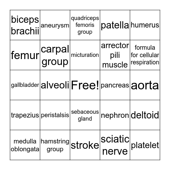 Anatomy & Physiology Bingo Card