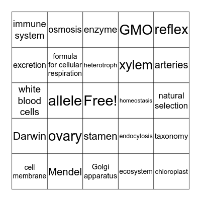 IGCSE Biology: Who knows what? Bingo Card