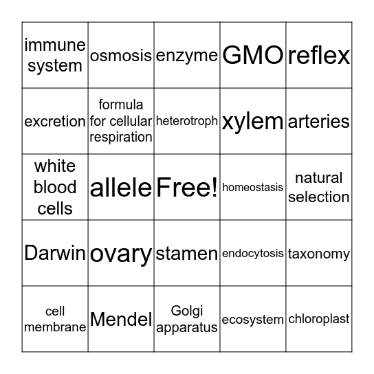 IGCSE Biology: Who knows what? Bingo Card