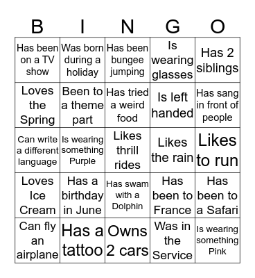 Icebreaker Bingo Card