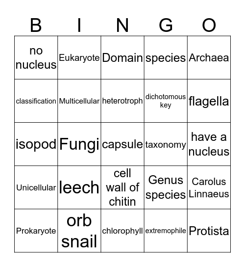 Classification Bingo Card