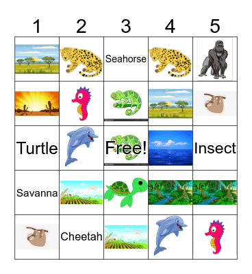 LESSON 4  - INTO THE JUNGLE Bingo Card