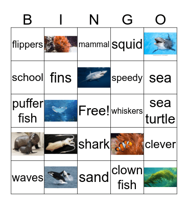 Ocean Life Bingo Card