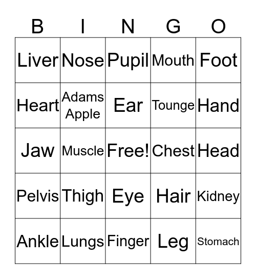 Human Anatomy Bingo Card