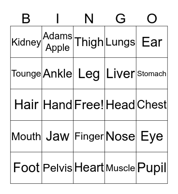 Human Anatomy Bingo Card