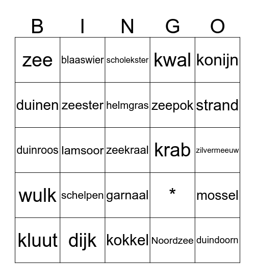 Hé ga je mee naar de zee! Bingo Card