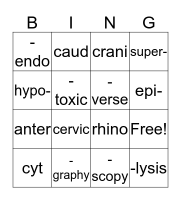 Medical Terminology Bingo Card