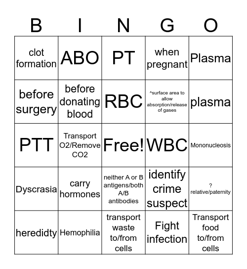 Blood System Review Bingo Card