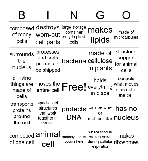 Biology Bingo Card