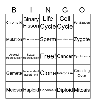 Mitosis/Meiosis Vocab Bingo Card