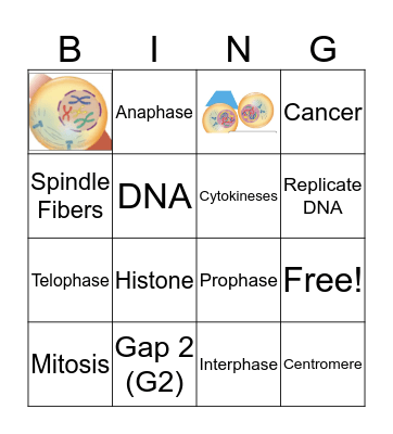 Mitosis Bingo Card