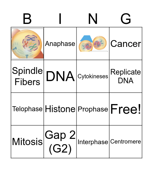 Mitosis Bingo Card