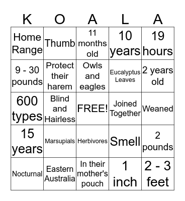 Koalas Bingo Card