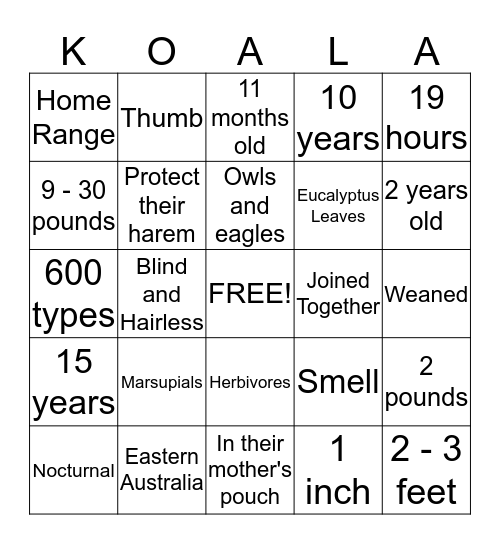 Koalas Bingo Card