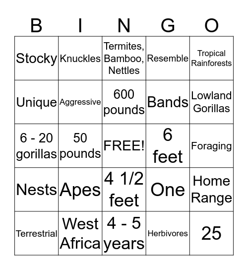 Gorillas Bingo Card