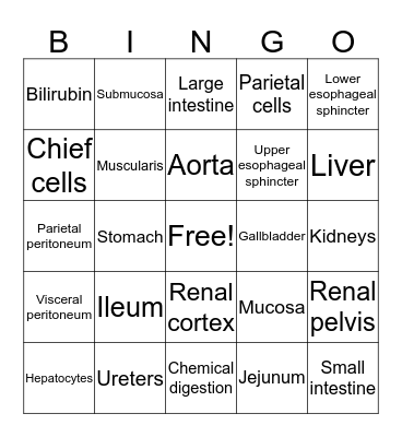 Abdomen Bingo Card