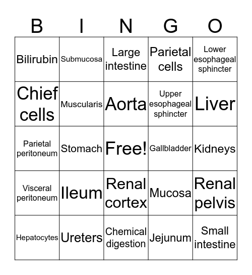 Abdomen Bingo Card