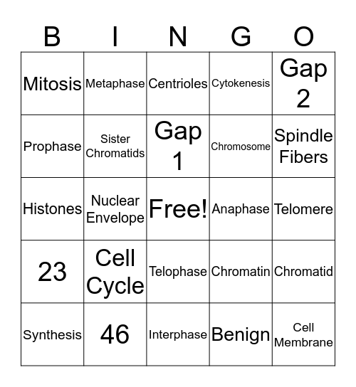 Mitosis Bingo Card