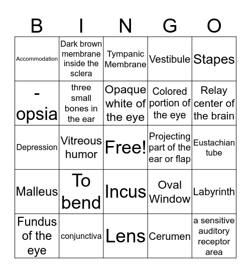 Medical Terminology II: Sense Organs: The Eye and the Ear  Bingo Card