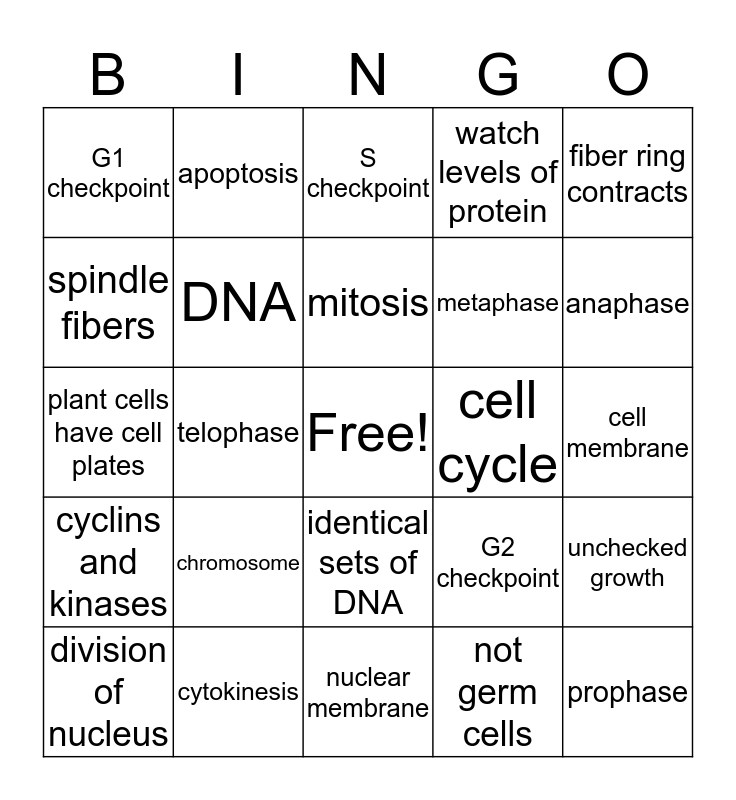 Mitosis Bingo Card