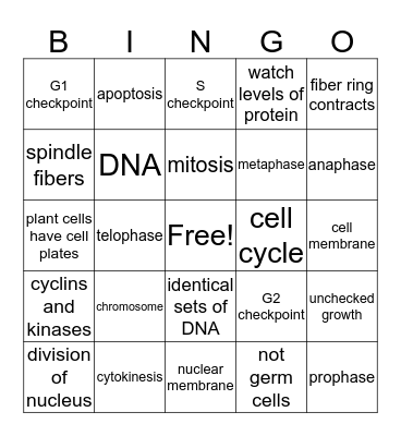 Mitosis Bingo Card