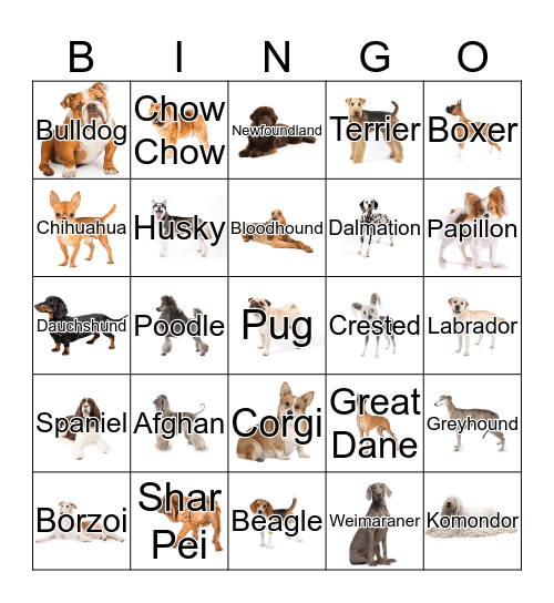 D-I-N-G-O Dog Bingo  Bingo Card
