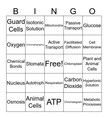 Science Bingo Card