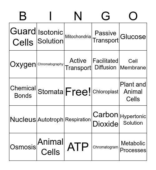 Science Bingo Card