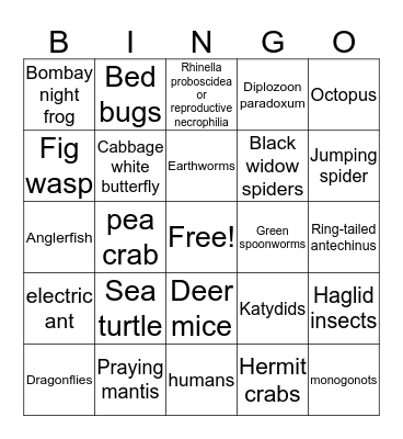 Wild Love Bingo Card