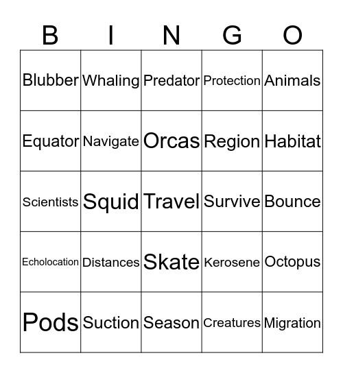 Whales Bingo Card