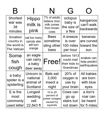 Random Fun Facts Bingo Card