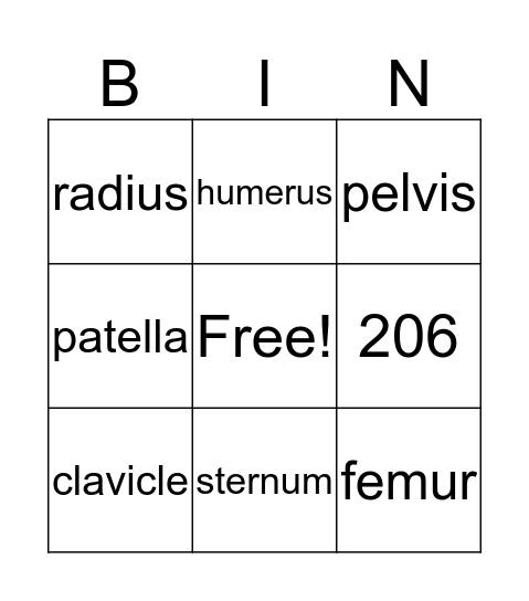 Skeletal System Bingo Card