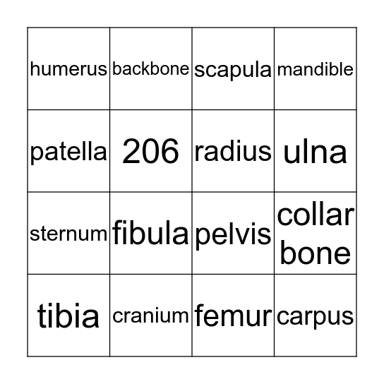 Skeletal System Bingo Card