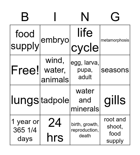 Life Cycles Bingo Card