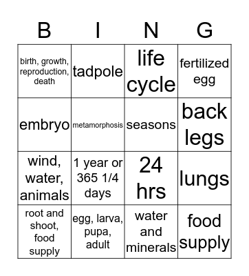 Life Cycles Bingo Card