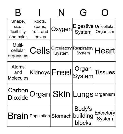 Levels of Organization Bingo Card