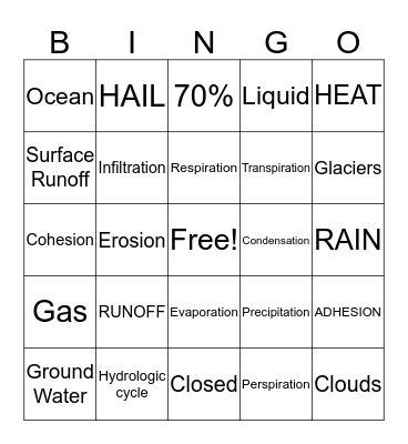 Hydrologic Cycle  Bingo Card