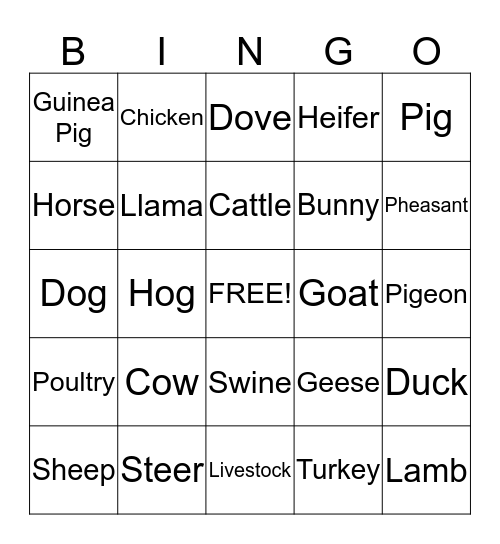 Show Animals Bingo Card