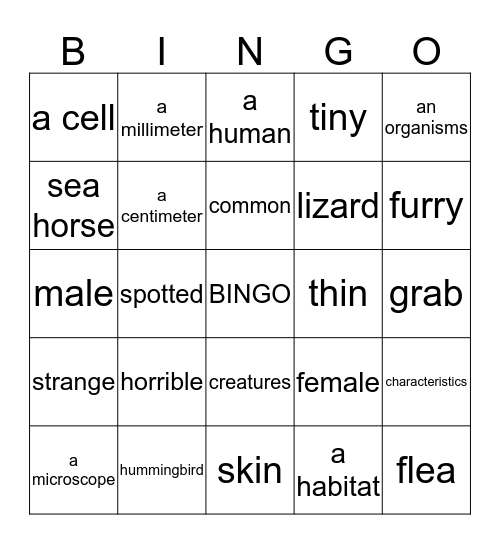 Organisms Bingo Card