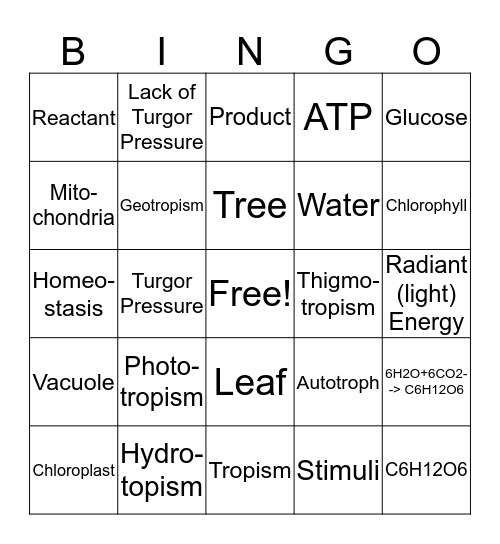 Plant Systems Review Bingo Card