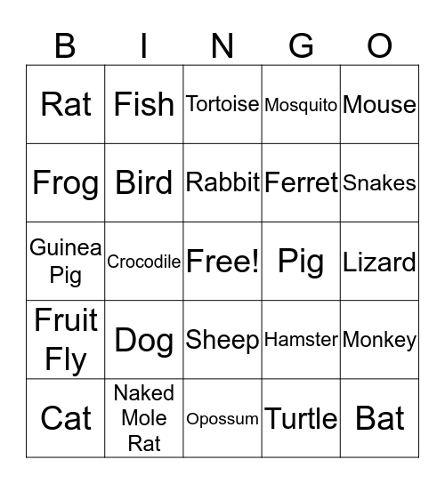 Biomedical Research Awareness Day Bingo Card
