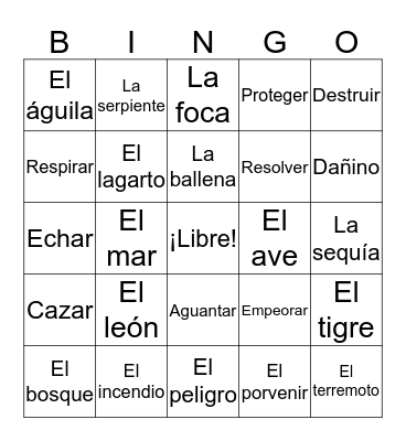 SPA 5-6 Vocab Capítulo 5 - Nuestro Mundo Bingo Card