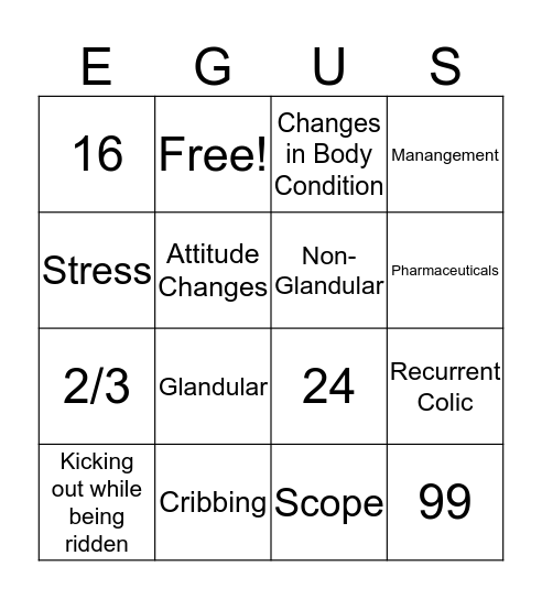 Equine Ulcer Awareness Bingo Card