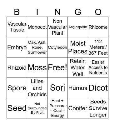 Classifying Plants Bingo Card
