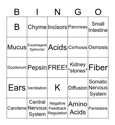 Human Biology Final Review Bingo Card