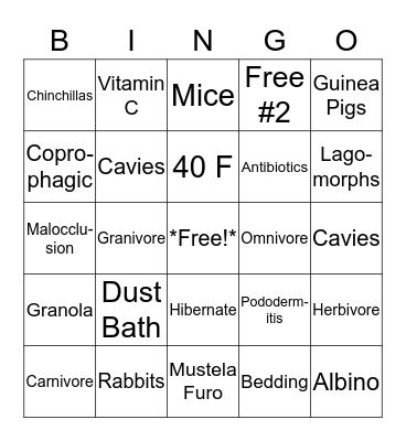 Pocket Pets VA Review Bingo Card