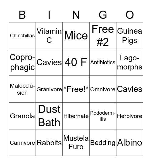 Pocket Pets VA Review Bingo Card