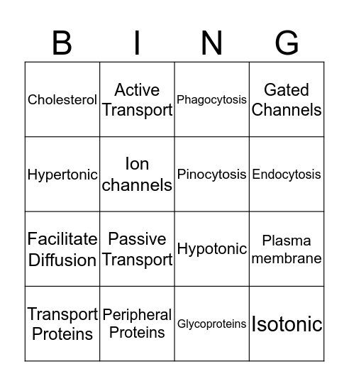 Cell Transport Bingo Card