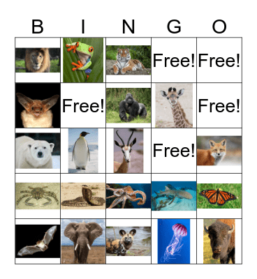 My Wild Self Bingo! Bingo Card