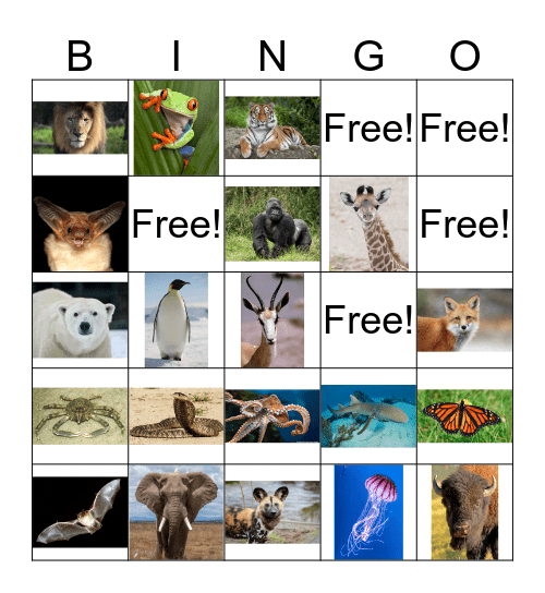 My Wild Self Bingo! Bingo Card
